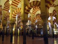 End�l�s R�yas�: 4 (Kurtuba Ulu Camii-La Mesquita-Katedral)