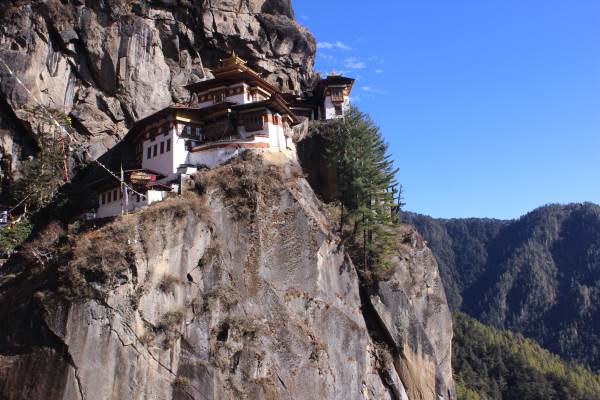 Tiger Nest